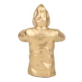 Hooded Warrior in Gold